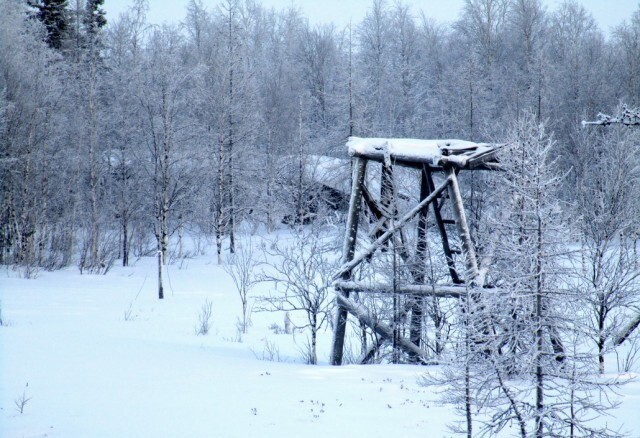 Одна из смотровых вышек