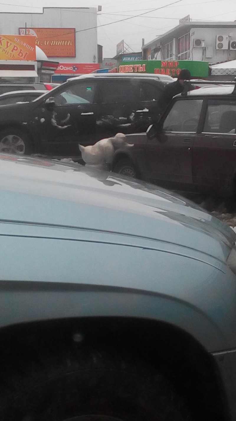 А ну-ка от винта