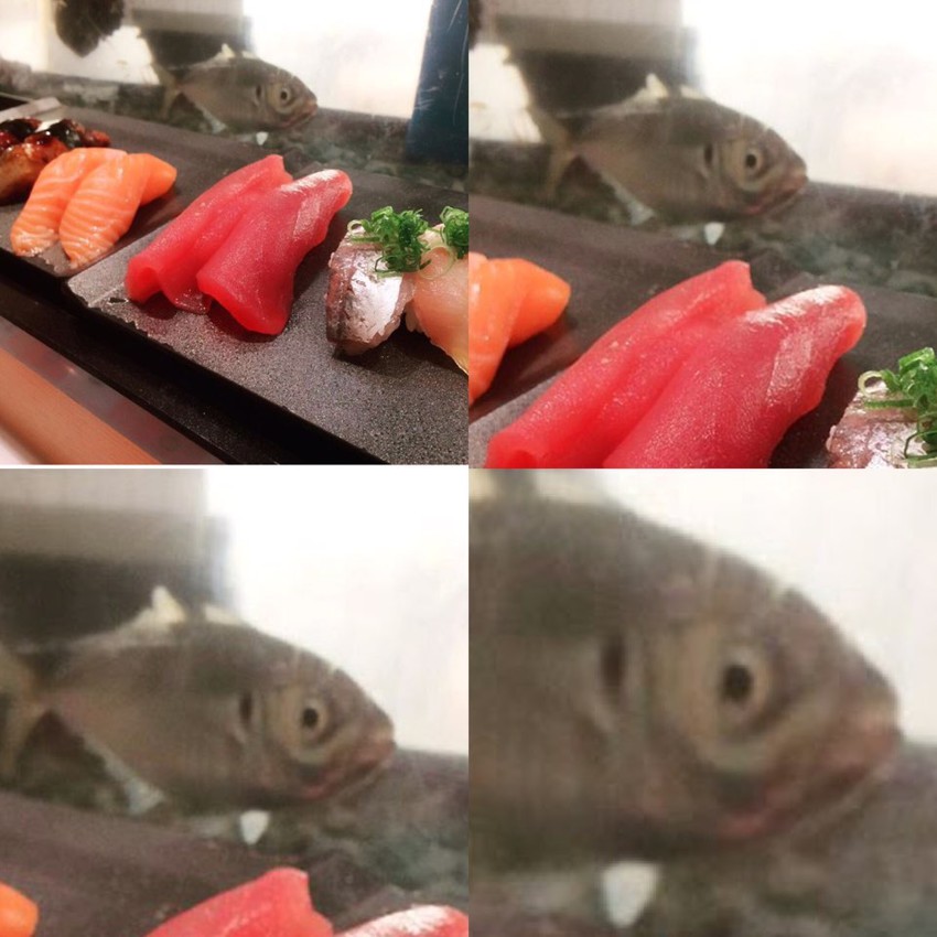 Рыба в ужасе
