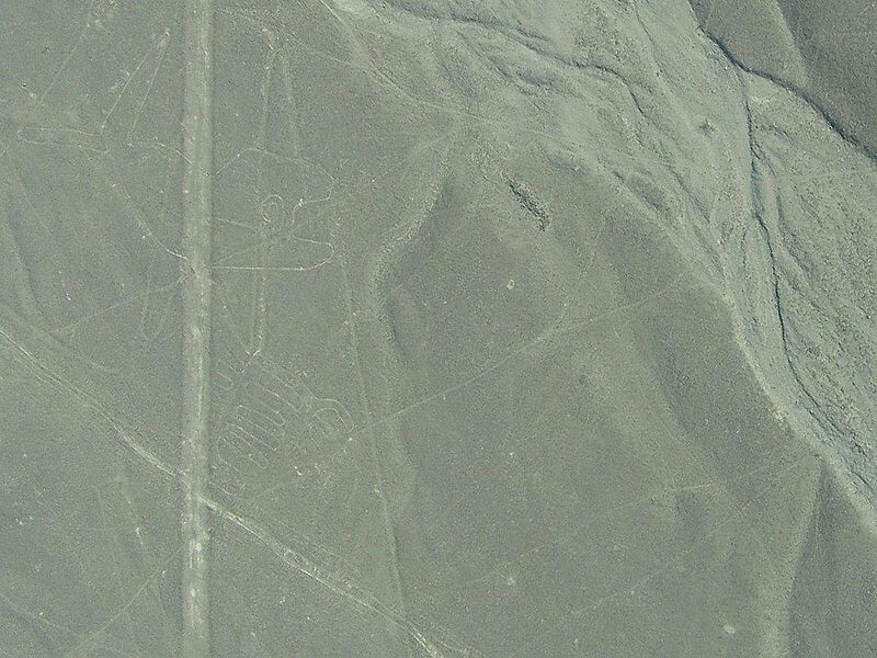Загадочные геоглифы Наски в новых фотографиях НАСА