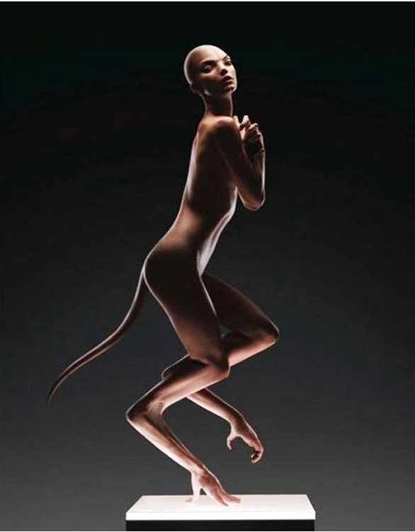 Химеры с человеческими клетками