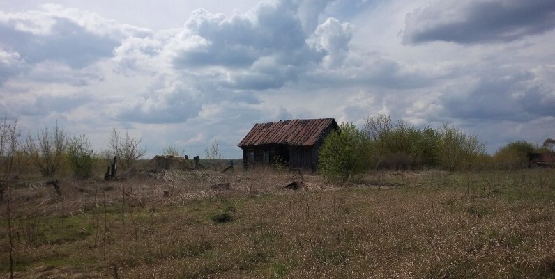 Сериал "Ходячие мертвецы" нужно было снимать в этой деревне Пензенской области 