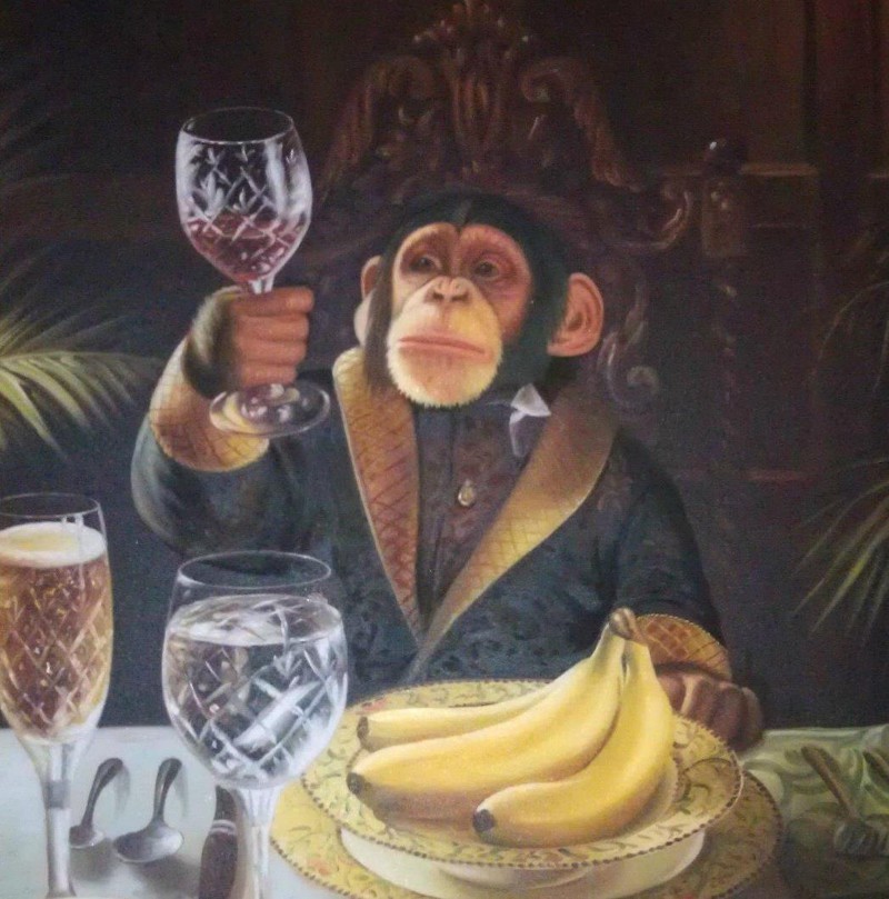 Многим известно, что шимпанзе имеют немало общего с человеком. Недавно учёные выяснили, что эти приматы могут увлекаться алкогольными напитками.