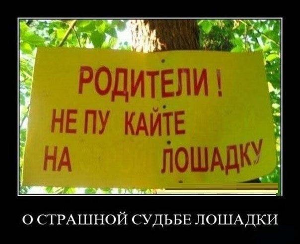 Бедная лошадка