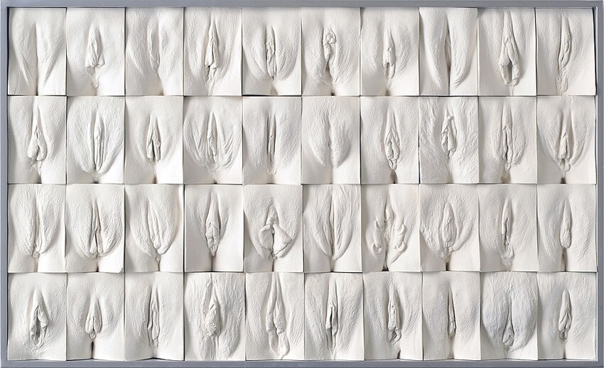 Британский художник выставляет панно из слепков женских гениталий 