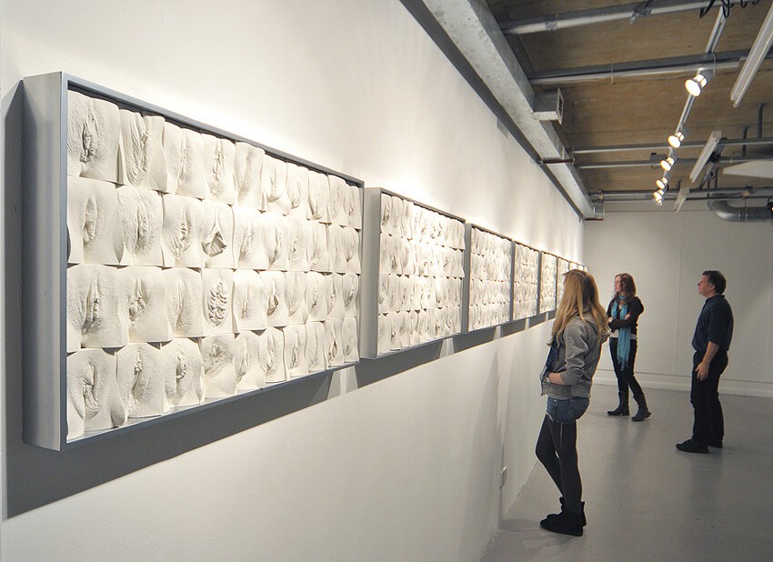 Британский художник выставляет панно из слепков женских гениталий 