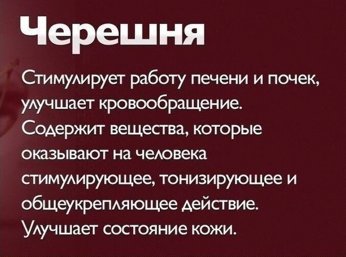 Здоровое питание