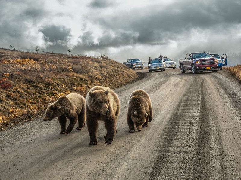 Подборка лучших фотографий, опубликованных журналом National Geographic в январе 2016 года