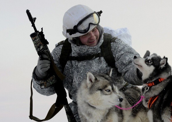 Езда на оленях и собаках: необычные учения арктической бригады