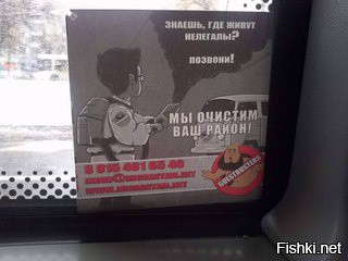 Из солянки