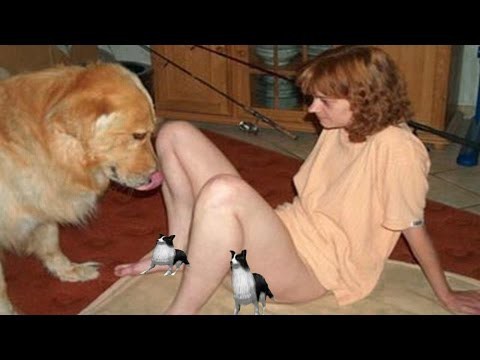 Ultimate Fail: Смешные собаки - Вирусные ролики 
