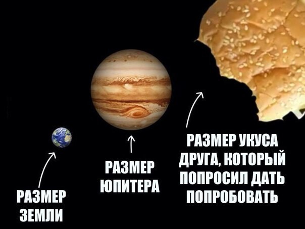 Смешные картинки с надписями