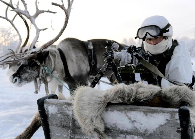 Разведывательная рота отдельной арктической мотострелковой бригады СФ 