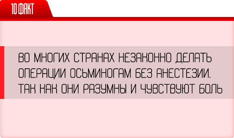 25 неожиданных фактов о нашей жизни