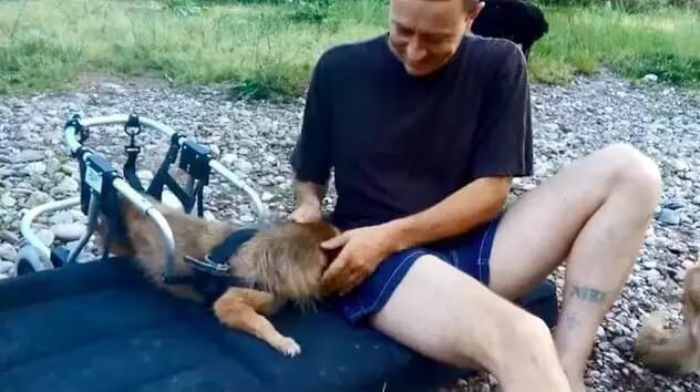 Он не мог смотреть, как страдают животные, поэтому спас 450 собак!