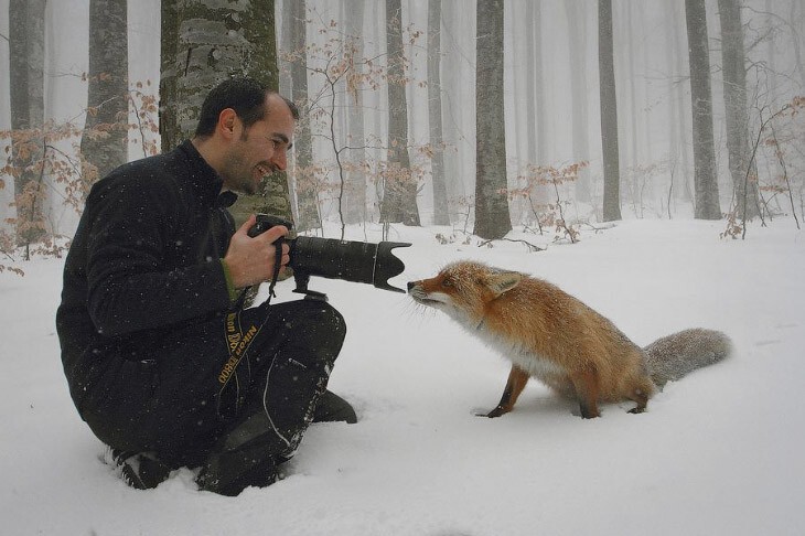 Животные-фотографы