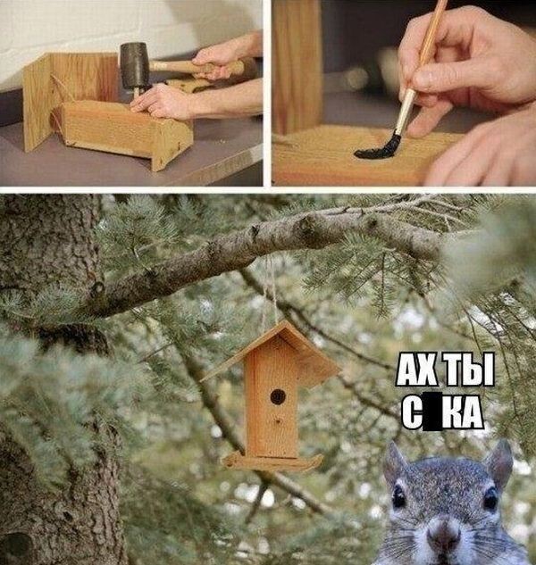 Прикольные картинки