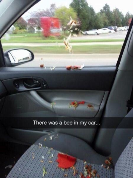15. *В машине была пчела