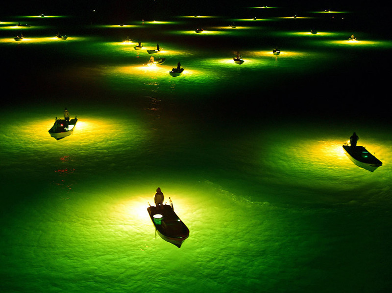 Ночная рыбалка в Японии при свете фонарей