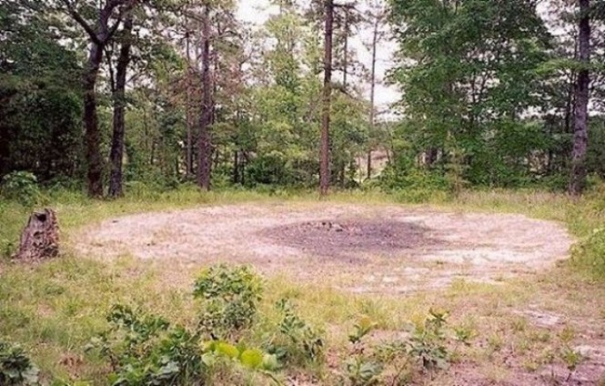3. Земля топающего дьявола, США.  В 16 км от города Сайлер в штате Северная Каролина находится таинственное кольцо диаметром 12 метров. Оно расположено глубоко в лесу. Внутри кольца ничего не растет, а собаки и другие животные не подходят близко к эт