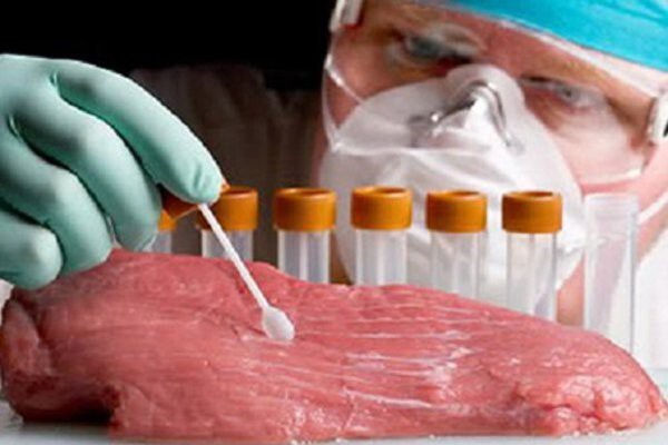 В течение считанных лет выращенное в лаборатории мясо появится на прилавках
