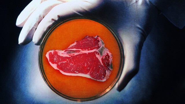 В течение считанных лет выращенное в лаборатории мясо появится на прилавках