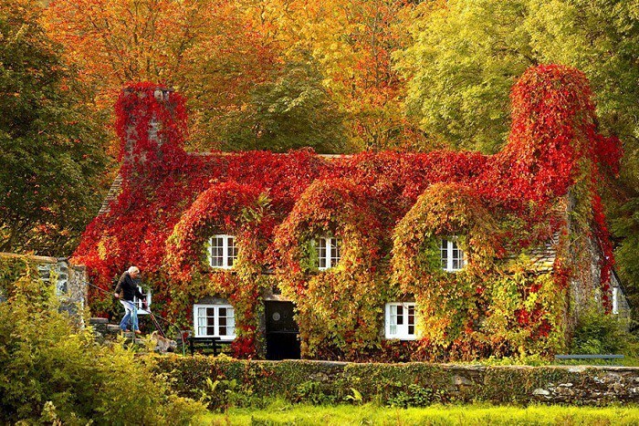 3. Дом - Tea house (North Wales). Осень