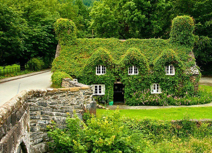 2. Дом - Tea house (North Wales). Лето