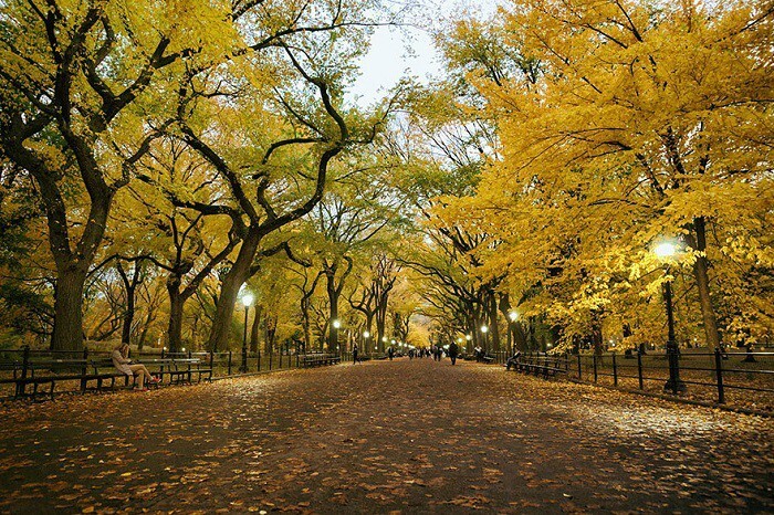 10. Центральный парк Нью-Йорка осенью