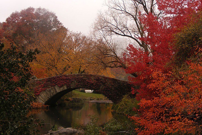 5. Мост в Центральном парке Нью-Йорка (США). Осенний пейзаж.