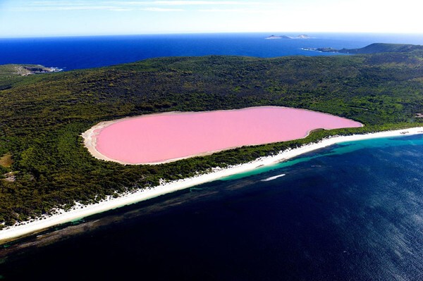 Озеро Хиллер в Австралии.
