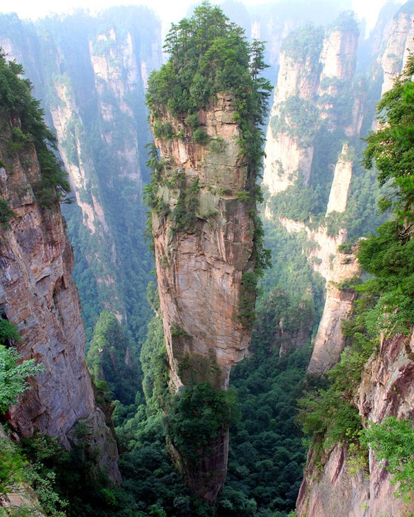 Горы Тяньцзи в Китае. 