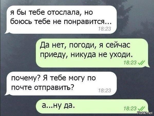 Из солянки