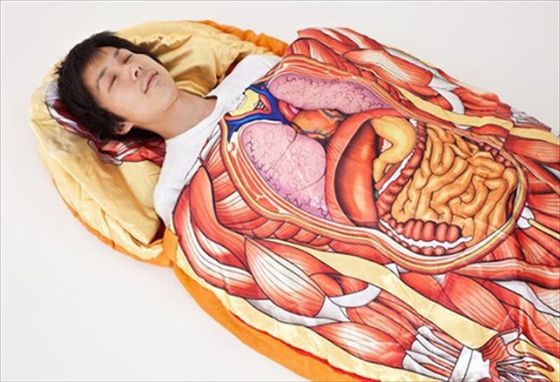 Помогают школьникам изучать анатомию методом погружения в сон