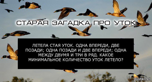 Попробуйте разгадать уточную загадку