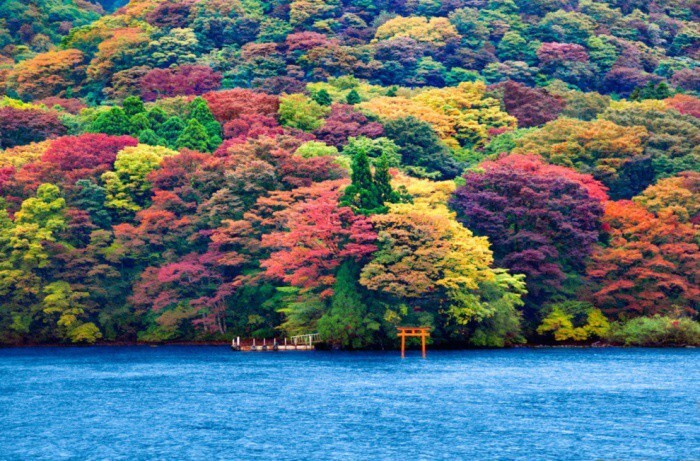11. Кратерное озеро в центральной части острова Хонсю, одна из жемчужин Национального парка Хаконе.
