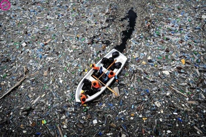Атлантическое мусорное пятно 