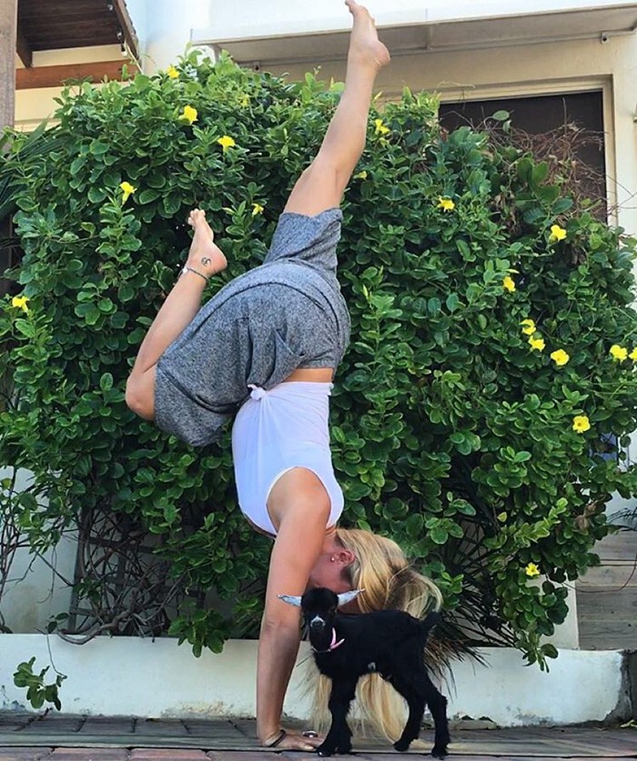 Эта девушка и ее козочка самые очаровательные в мире партнеры по йоге