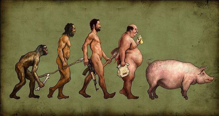 20 сатирических иллюстраций на тему эволюции 