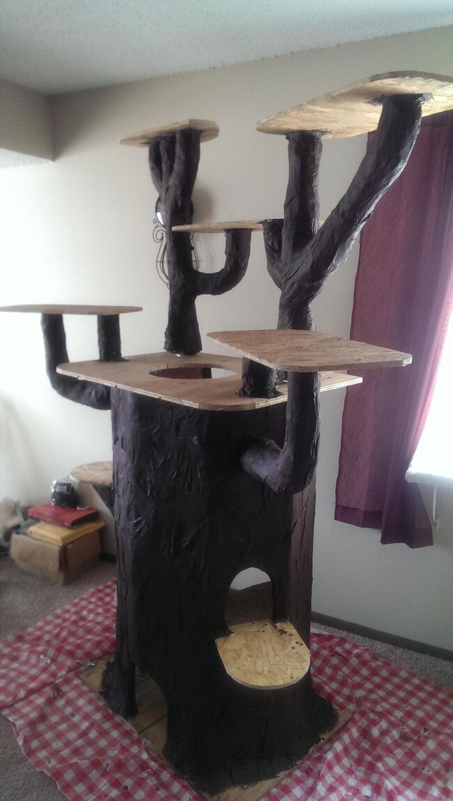 Как построить потрясающий игровой домик для кошки в виде дерева