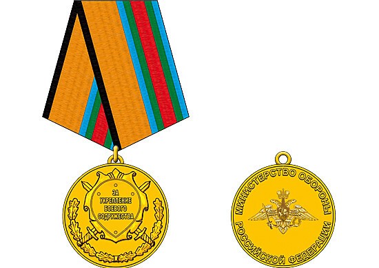 Медаль "За укрепление боевого содружества". © Министерство обороны России 