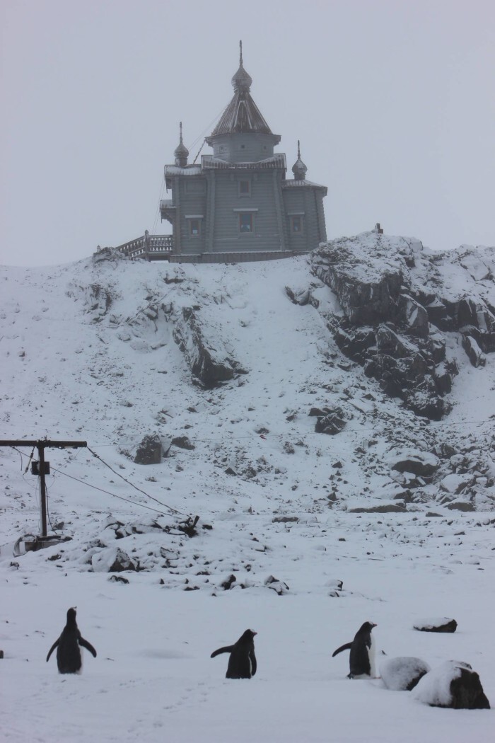 Антарктида православная
