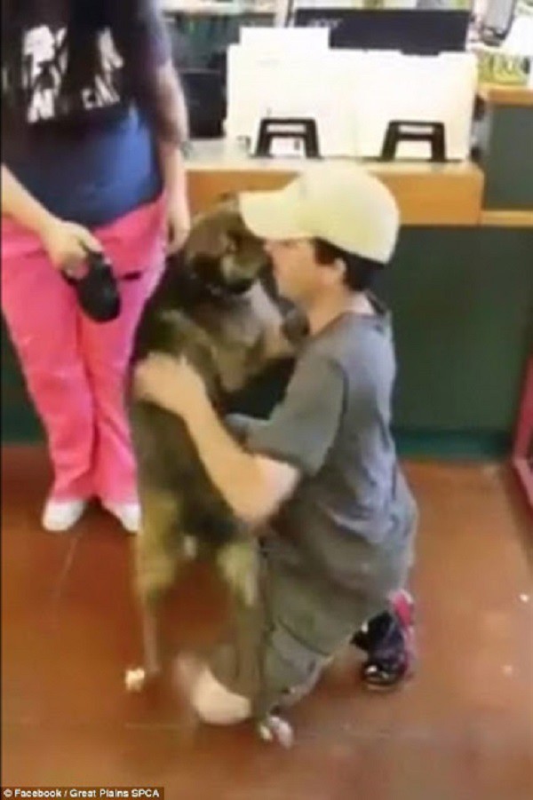 Мужчина и его собака встретились после года разлуки.