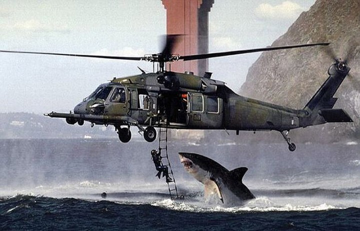 Нападение акулы на человека, висящего на вертолетном трапе