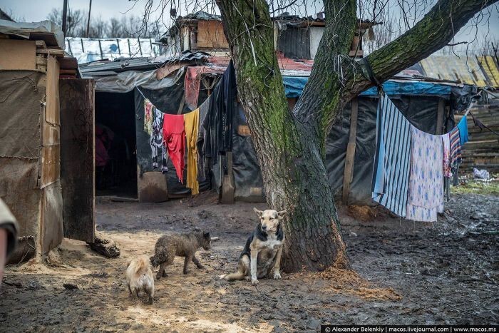 Экскурсия по цыганскому району украинского городка Берегово