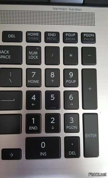 Видите черные точки между клавишами