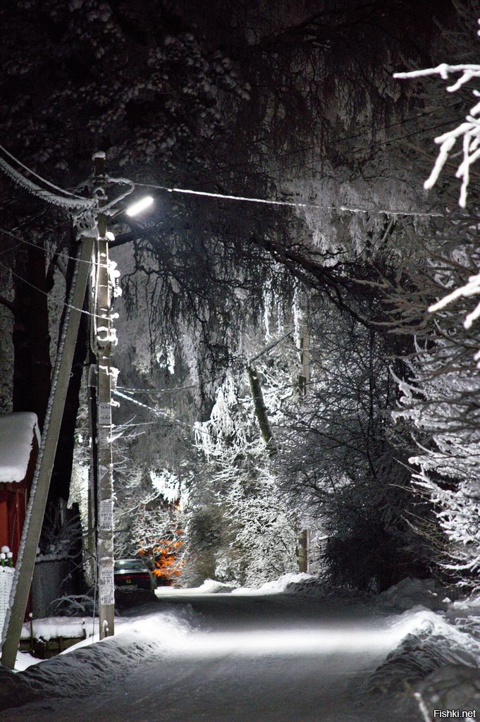 Кое-что из моих январских прогулок по окраинам Питера