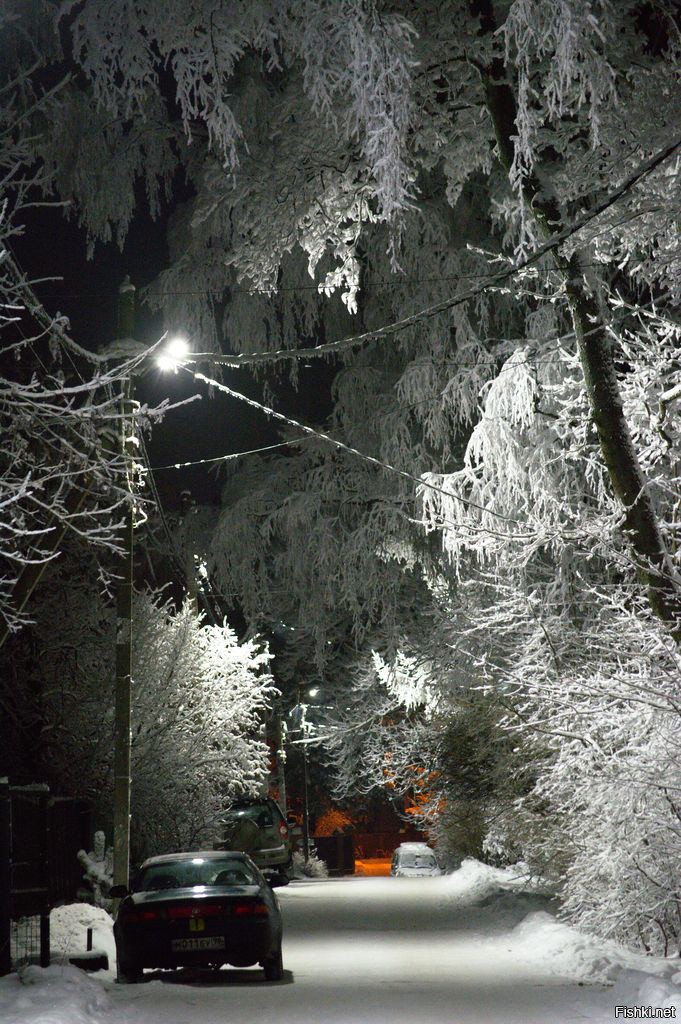 Кое-что из моих январских прогулок по окраинам Питера
