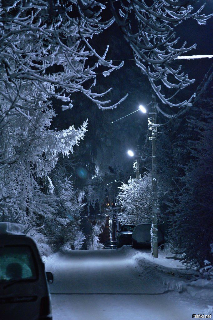 Кое-что из моих январских прогулок по окраинам Питера