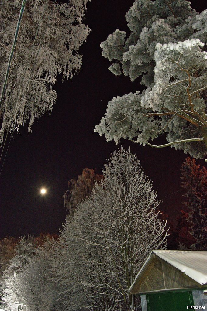 Кое-что из моих январских прогулок по окраинам Питера